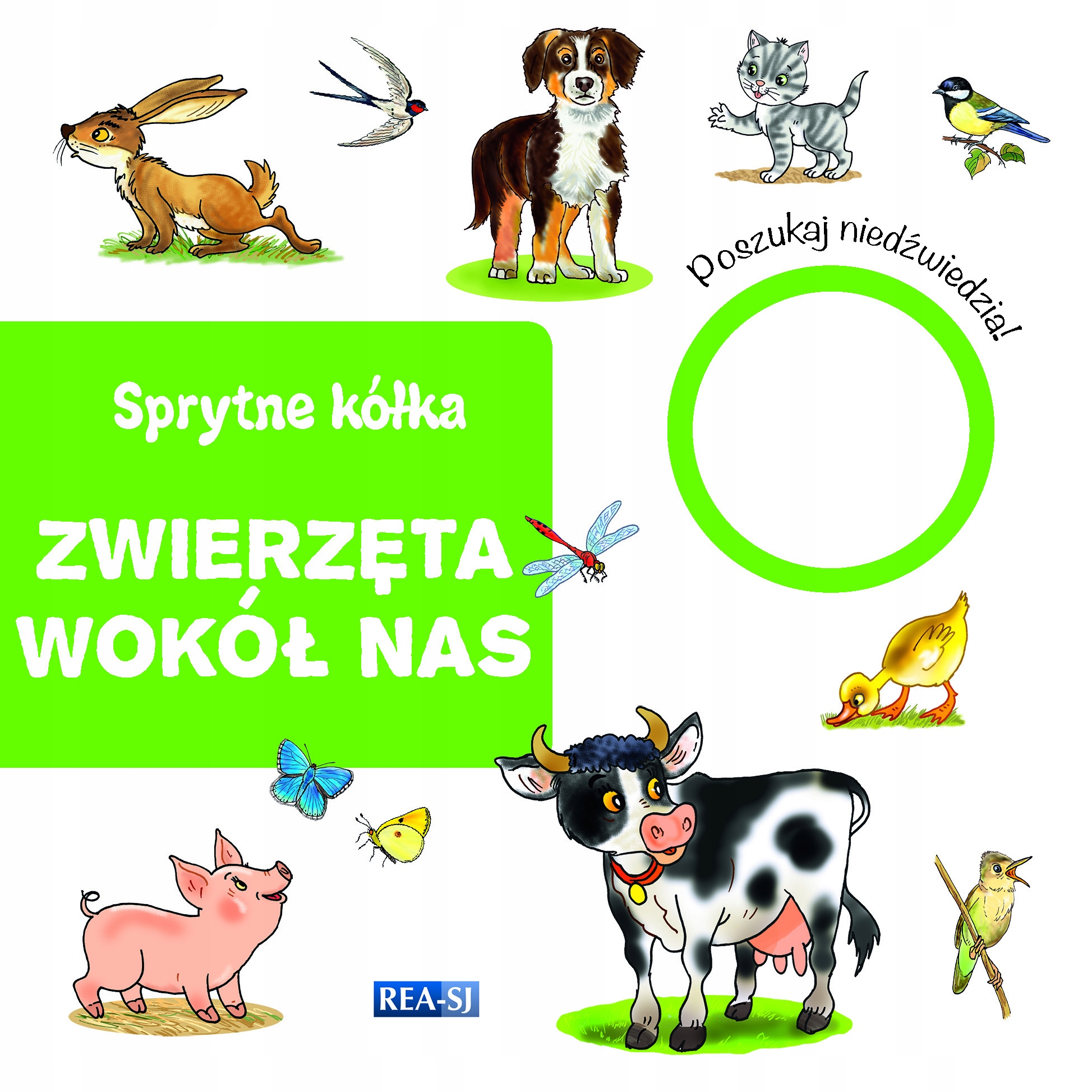 SPRYTNE RUCHOME KÓŁKA / ZWIERZĘTA WOKÓŁ NAS