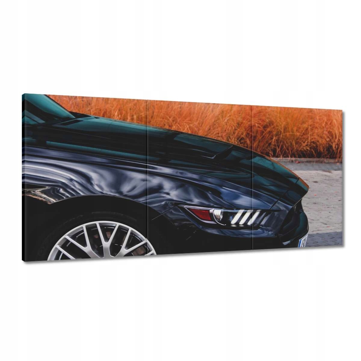 Obrazy 180x90 Ford Mustang Auto Usa