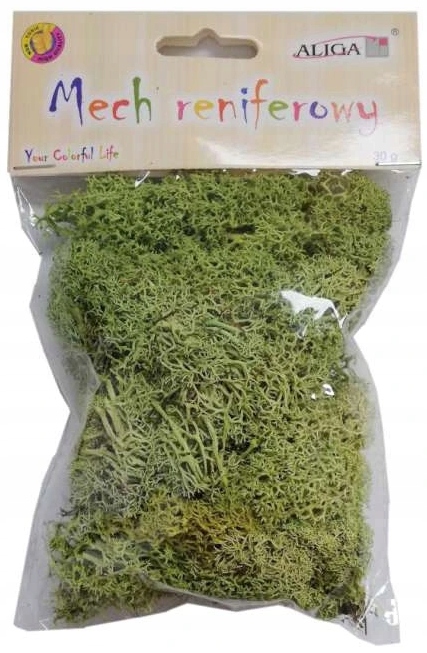 Mech Reniferowy Dekoracyjny Chrobotek Zielony 30g Marka Aliga