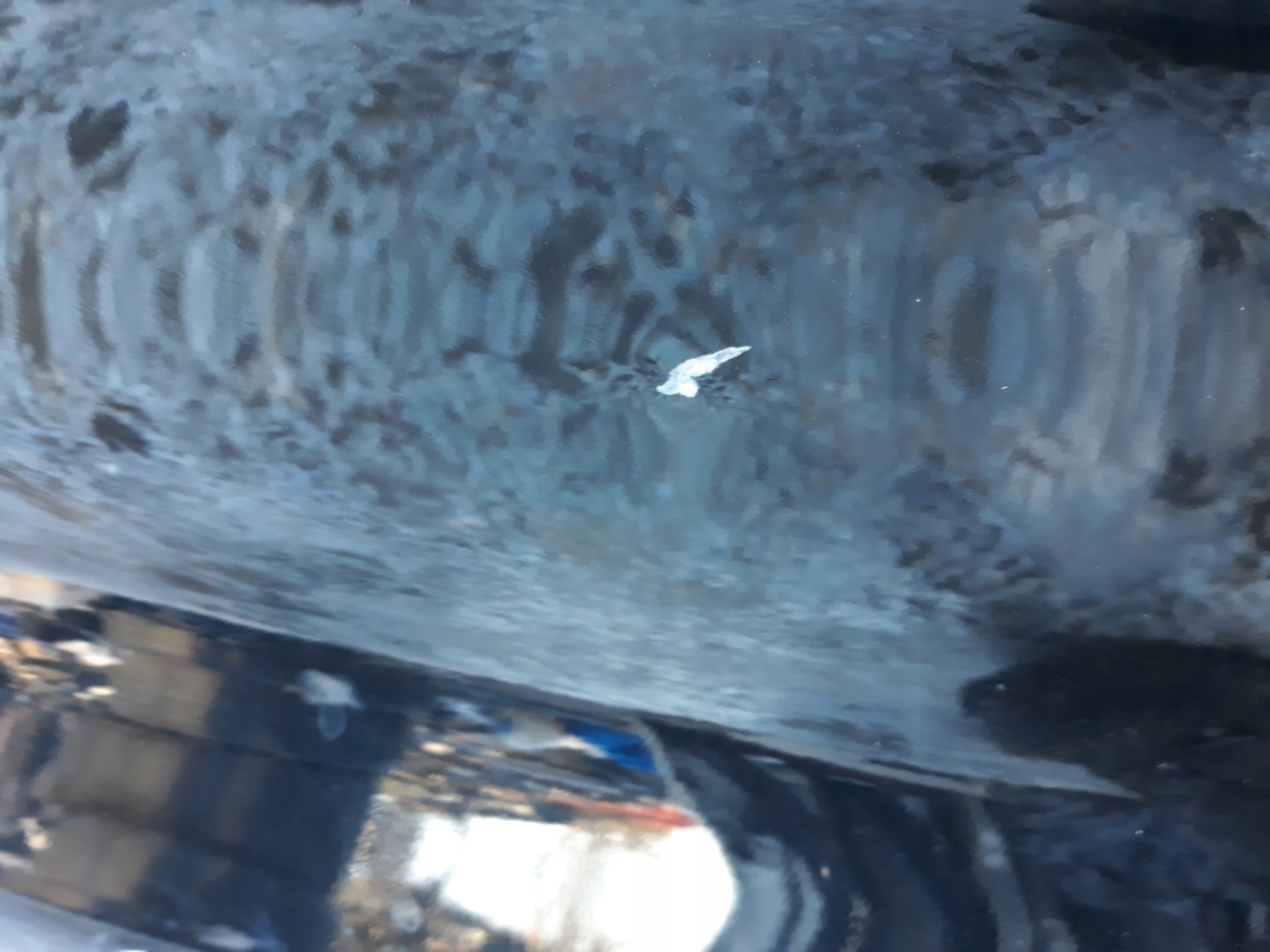 Renault Kadjar trunk door boot