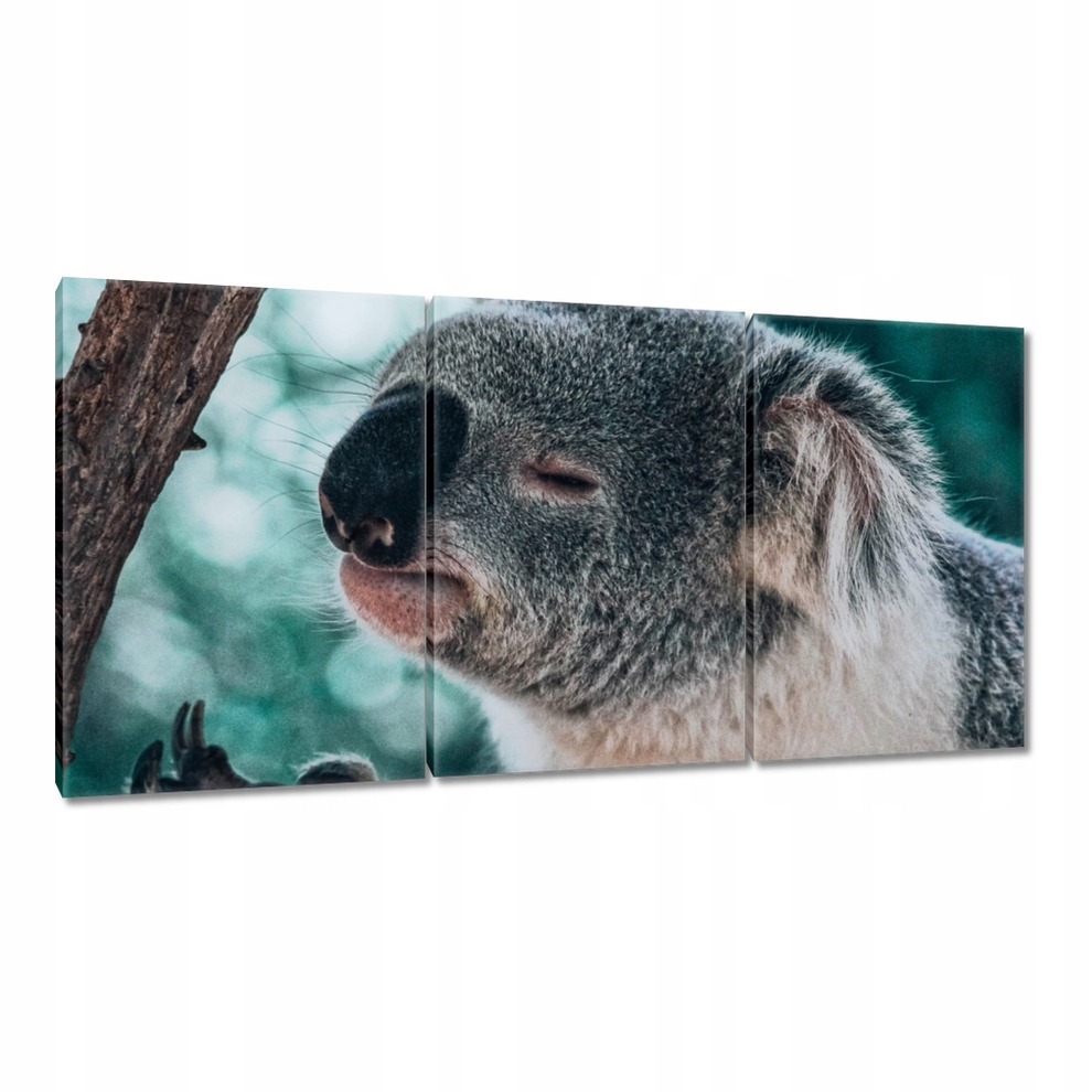 

Obrazy 120x60 Zwierzęta Zwierzątka