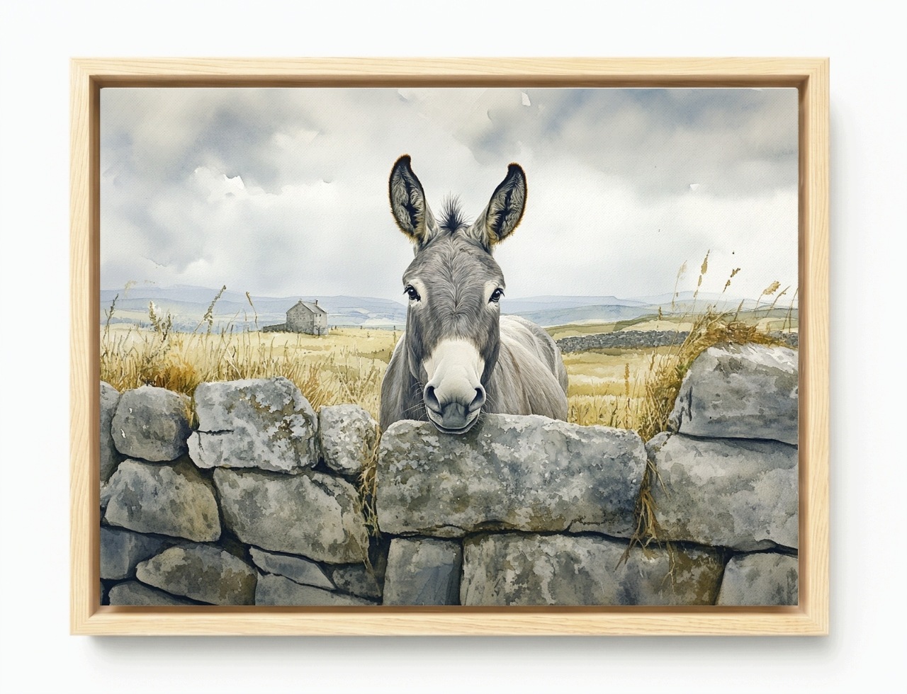 Obraz Rám Americký Box Krajina Irsko Zeď Osel Příroda 80x60