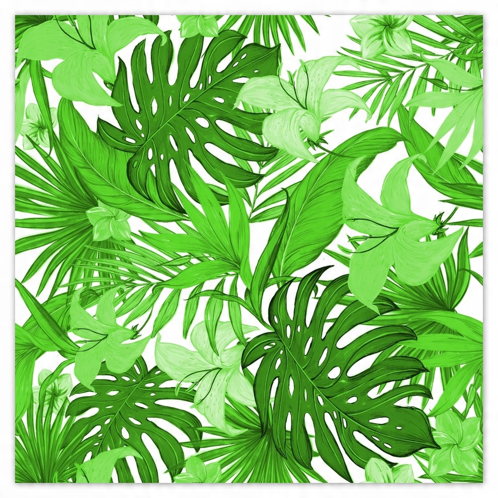 

Fototapety flizelina 312x312 Monstera