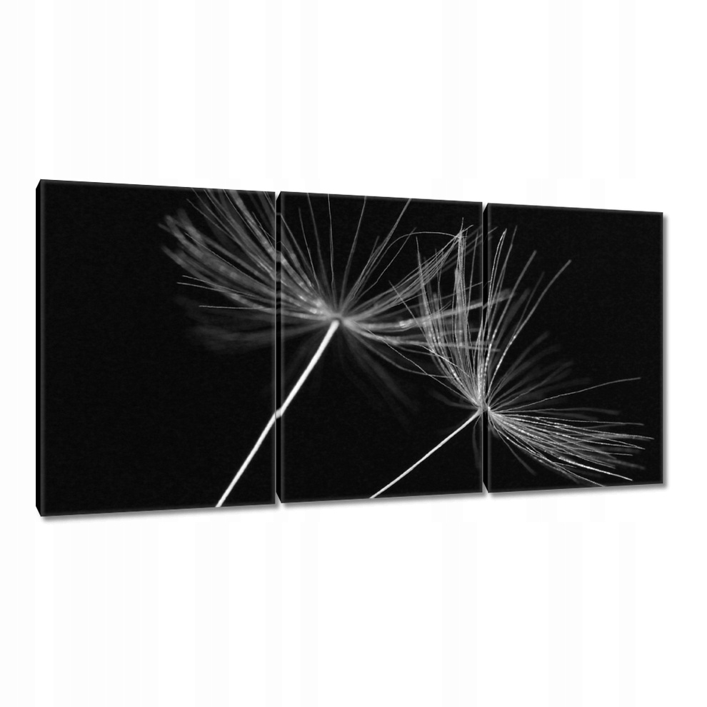 

Obrazy 120x60 Dmuchawiec Kwiat Kwiatki