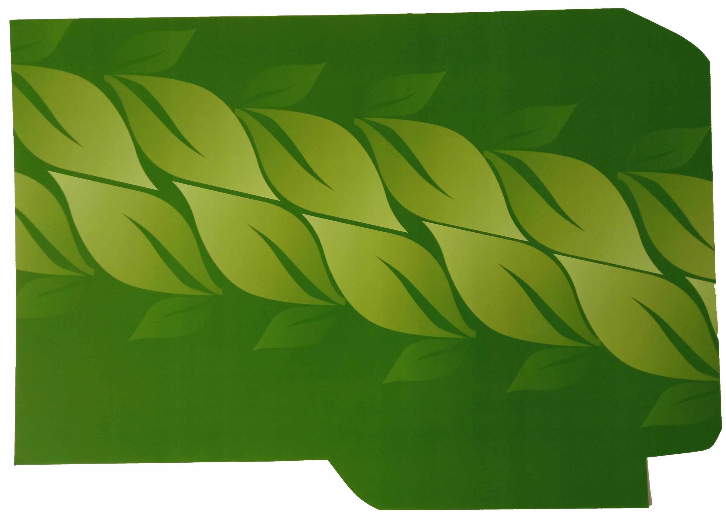 TECZKA FOLIOWANA firmowa A4 DWUSTRONNA 250 sztuk Liczba sztuk w ofercie 250 szt.