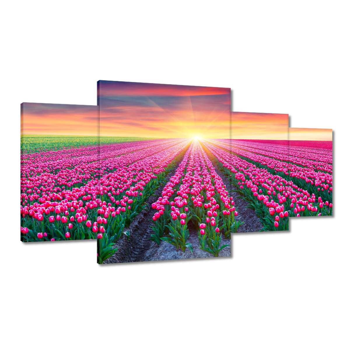 Obrazy 160x90 Moře tulipánů Květiny