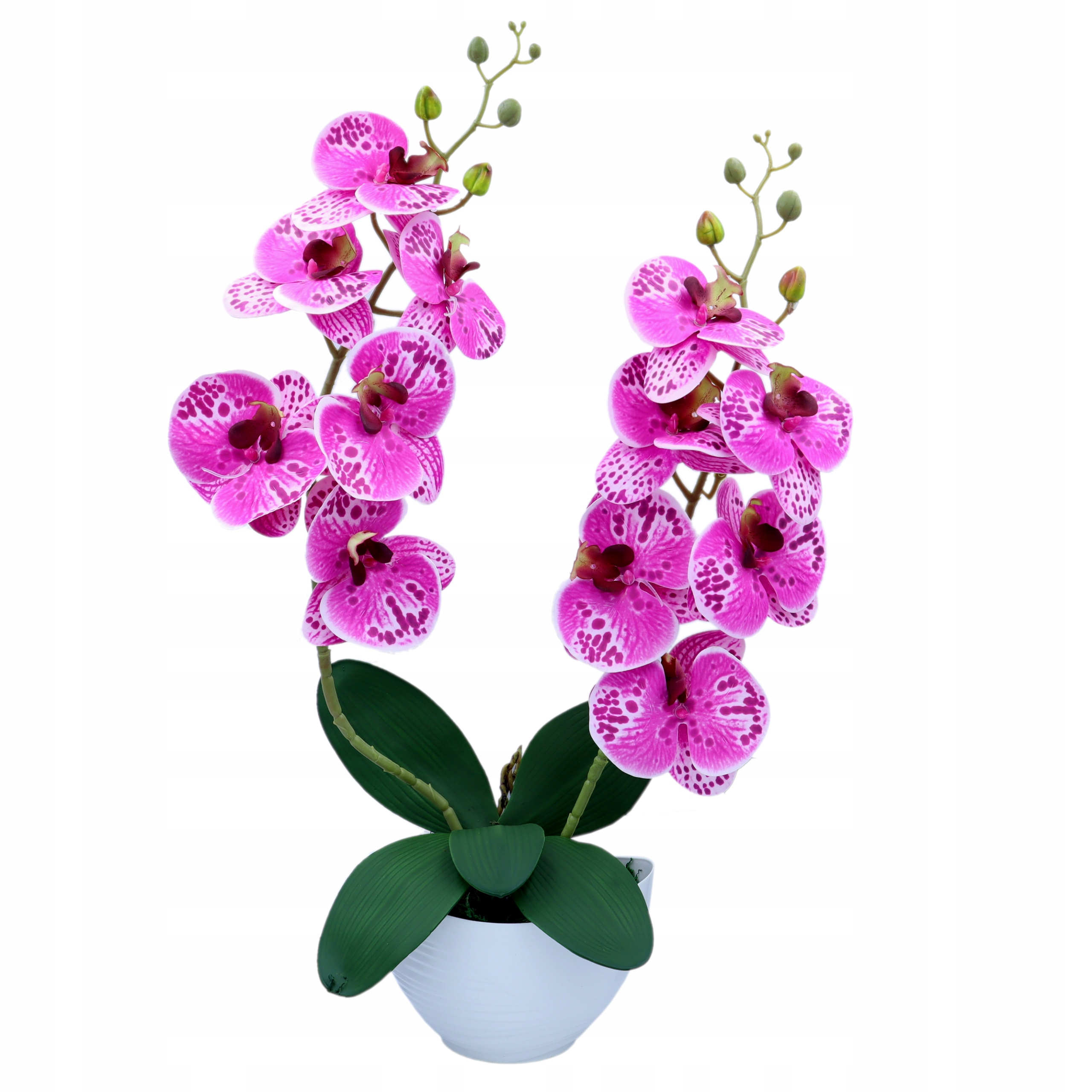 

Storczyk sztuczny 2 pędy 62cm Fioletowy Nakrapiany