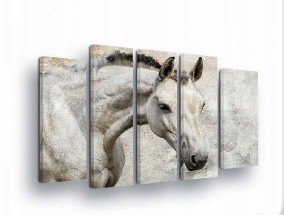 Obraz 150x100 Biely kôň sila príroda grácia dekor moderné polypové