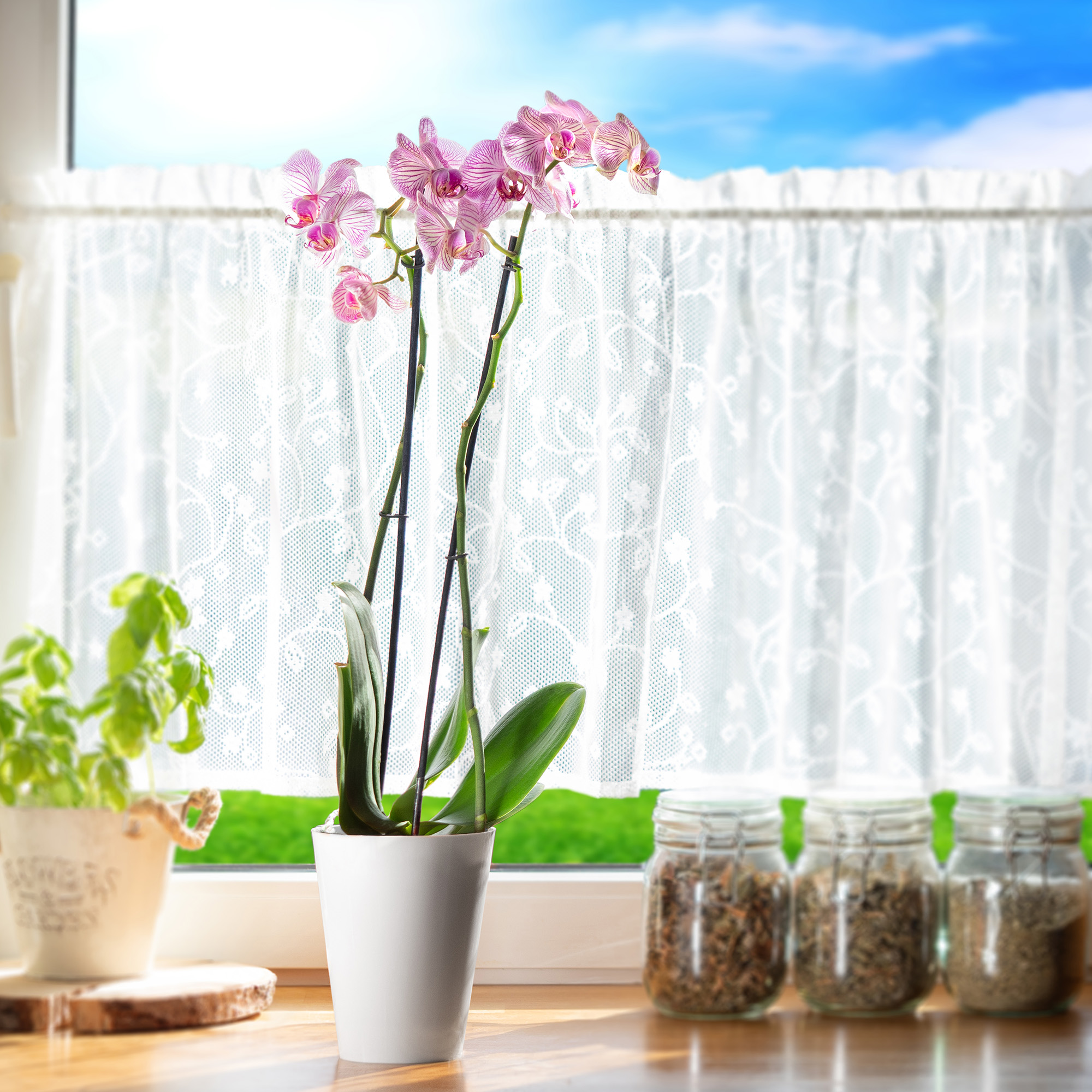 DONICZKA OSŁONKA NA STORCZYK KWIETNIK PLASTIKOWA KWIATY 13 CM BIAŁA KADAX Marka Kadax