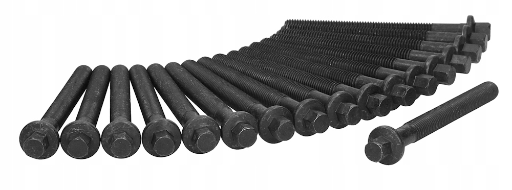 81040300 - Болты головки для RENAULT KOLEOS 2,5 08-