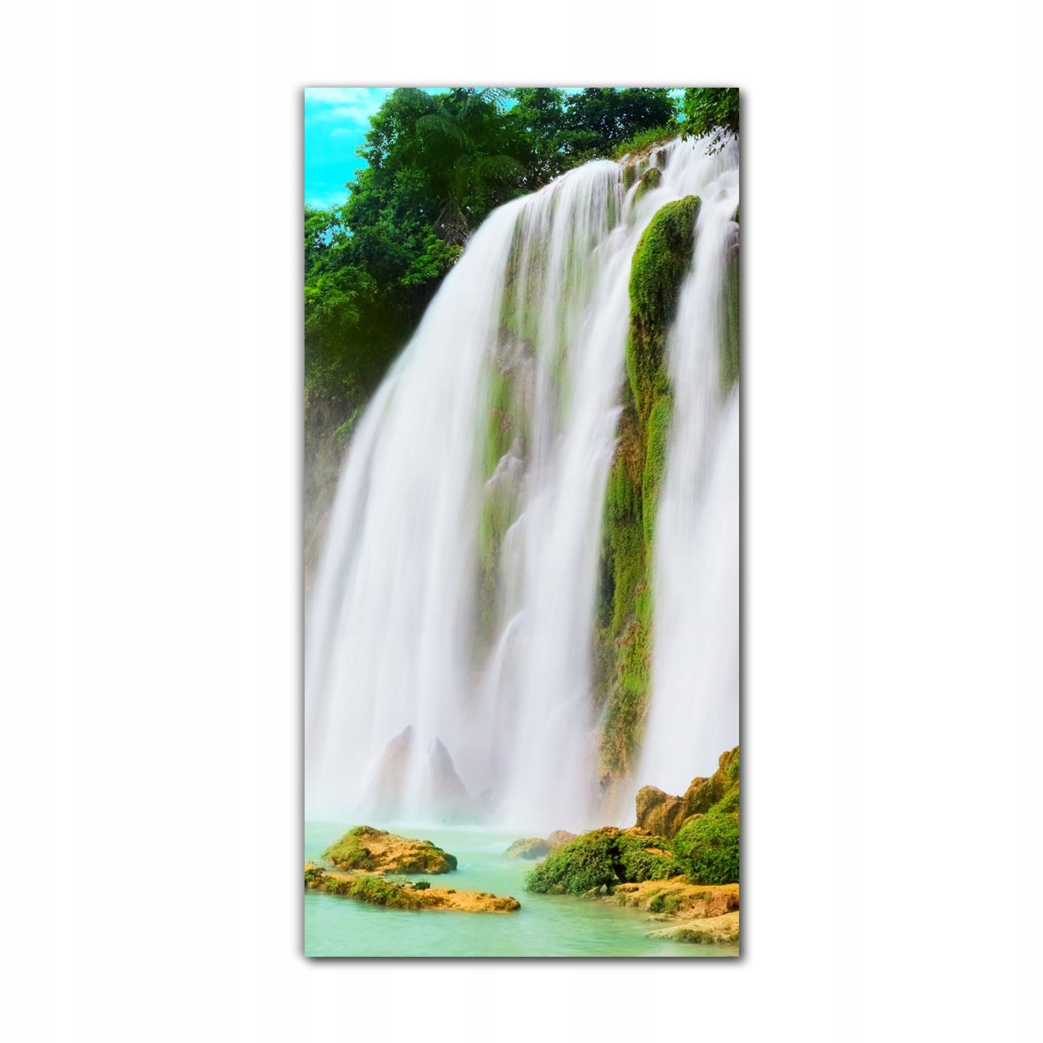 

Obraz na szkle nowoczesny 70x140 cm Las tropikalny