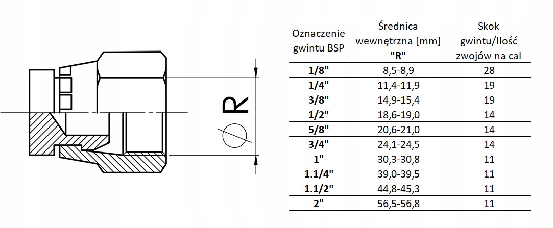KOREK, ZAŚLEPKA HYDRAULICZNA 1/2" BSP GW Marka inna