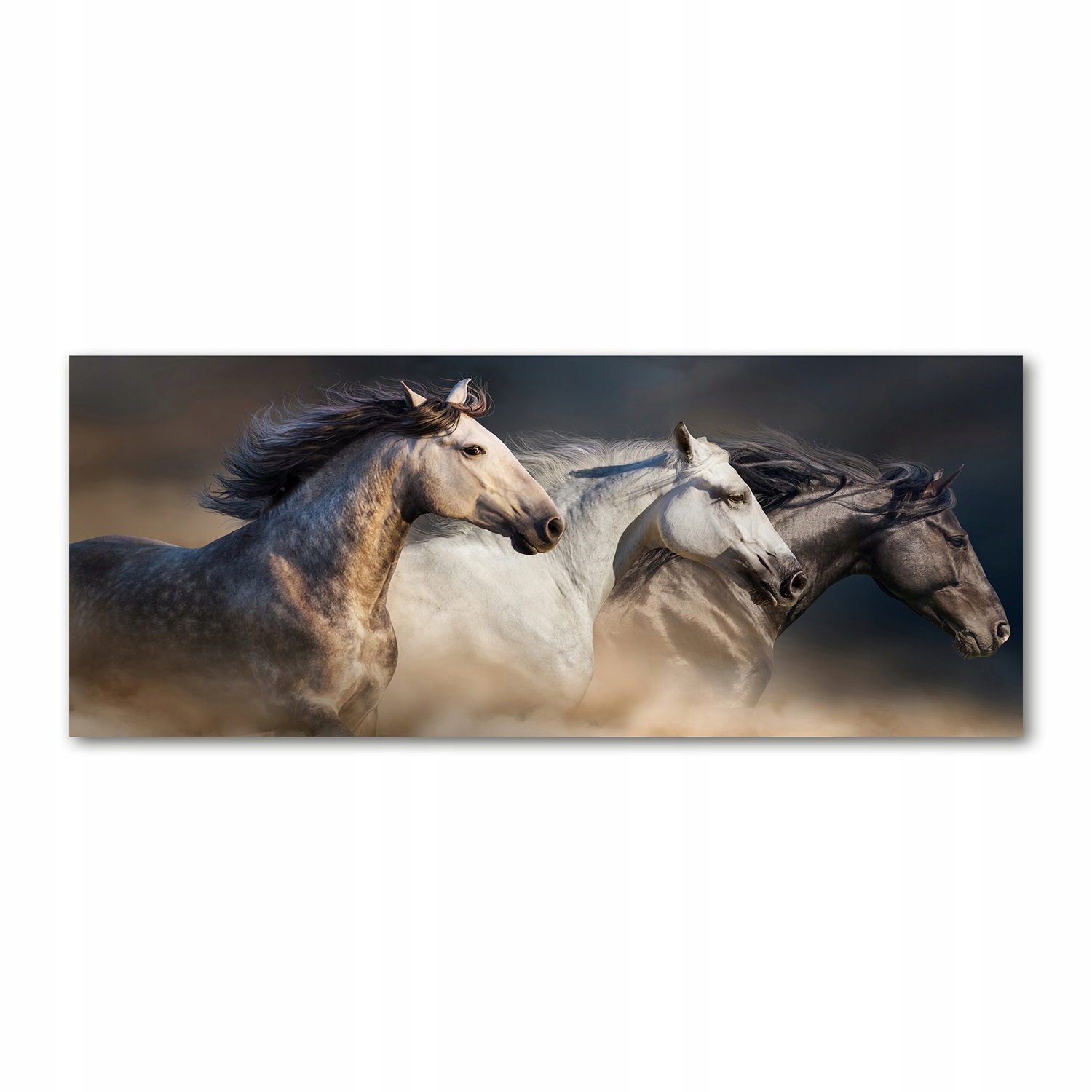 

Foto obraz akryl zdjęcie Konie w galopie 125x50 cm