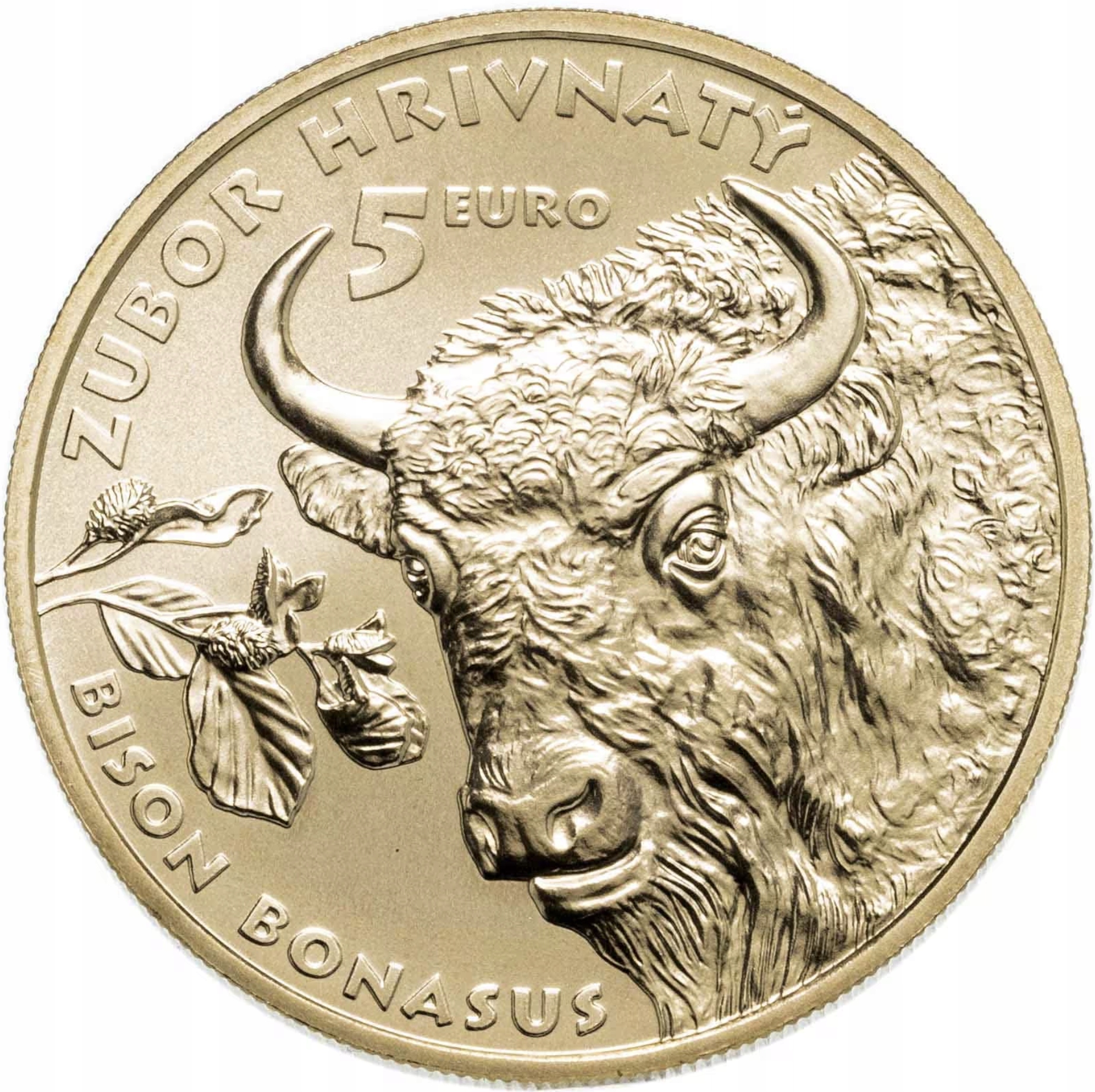 SŁOWACJA 5 EURO 2024 UNC ŻUBR