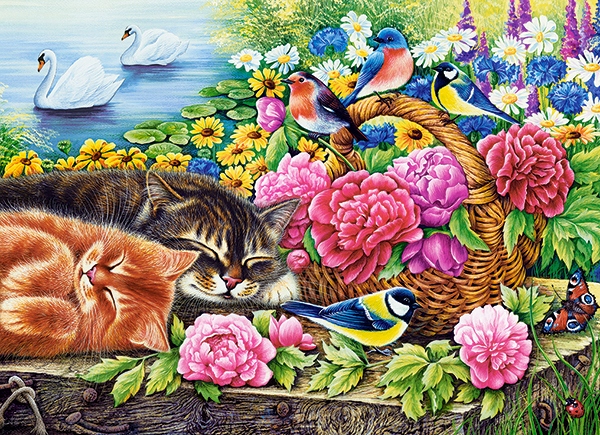 

Puzzle 200 Układanka Zwierzęta Koty Ptaki Castor