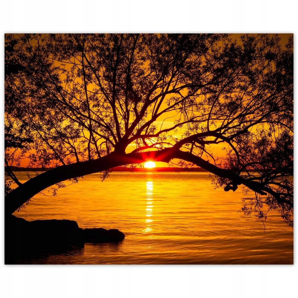 

Plakat 50x40 Plaża Drzewo Morze