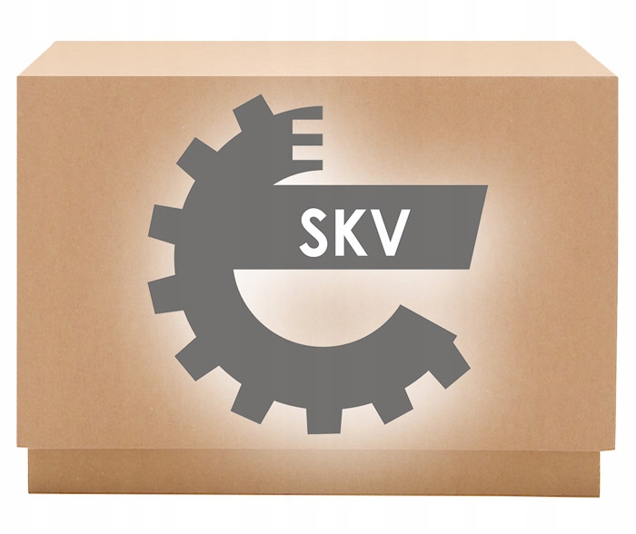 Skv 21skv161 комплект цепи грм