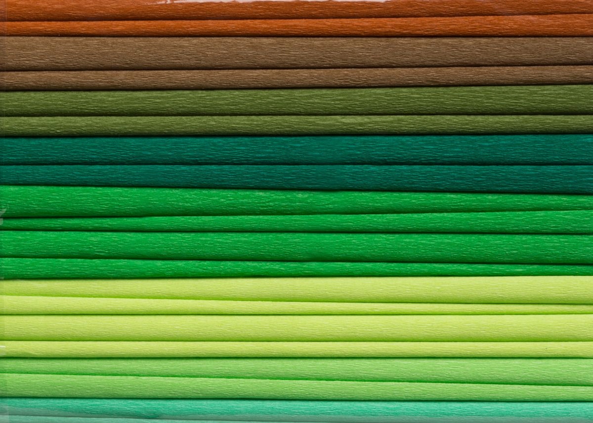 

Happy Color bibuła marszczona mix zielona 10szt
