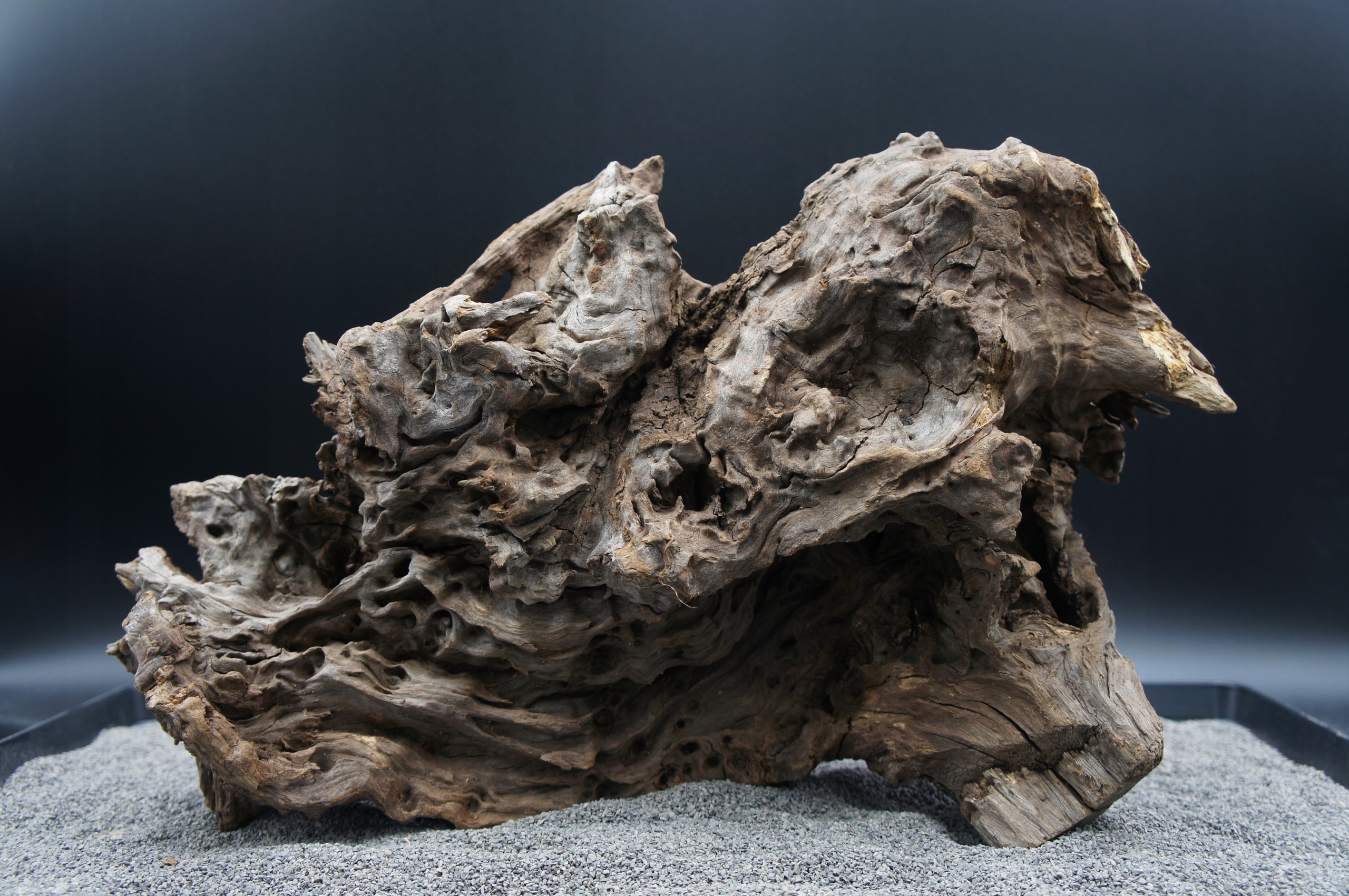 Levně Kořen pro terarijní akvárium Jagged wood 42 cm Ten, Který Je Na Obrázku (J35)