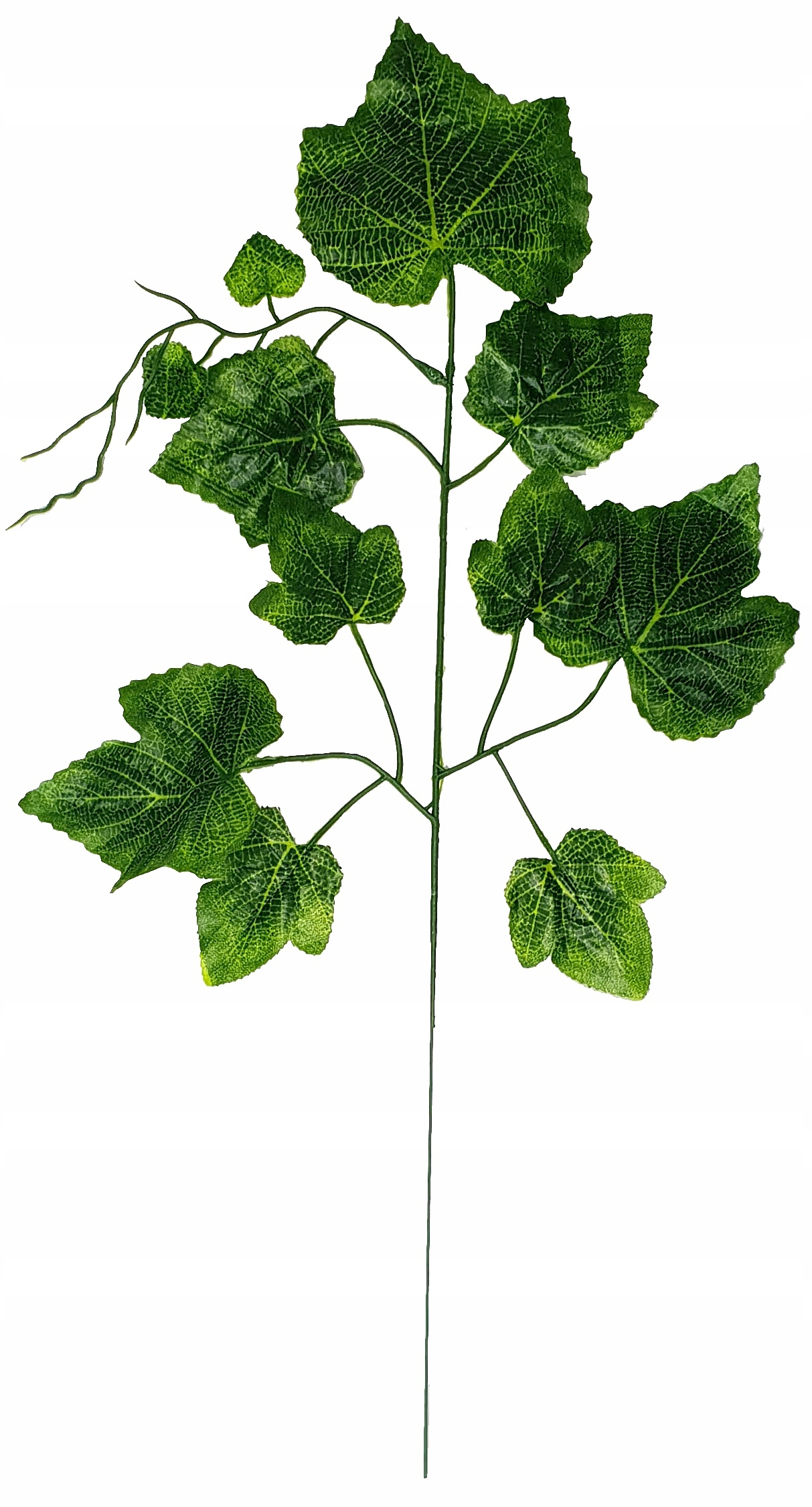 LIŚĆ WINOGRON x1 KWIATY SZTUCZNE LIŚCIE dodatek Kod producenta WINOGRON X1