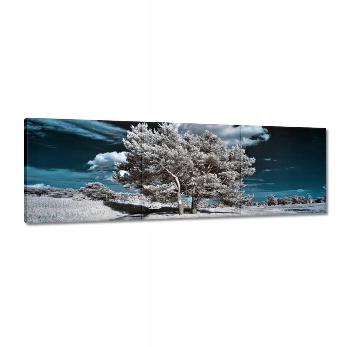 Obrazy 150x50 Stromek