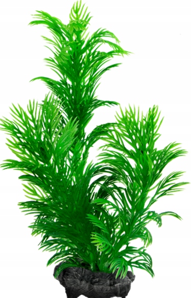 

Tetra DecoArt Green Cabomba M kabomba karolińska