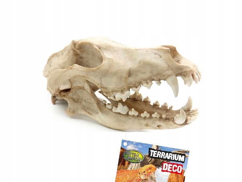 Levně Lebka vlka Úkryt do terária pro plazy velikost 27x13x13,5 cm