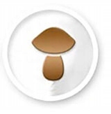 MATERAC DO ŁÓŻKA PIANKOWY KOKOS 180x80 Kolekcja PurCOCO