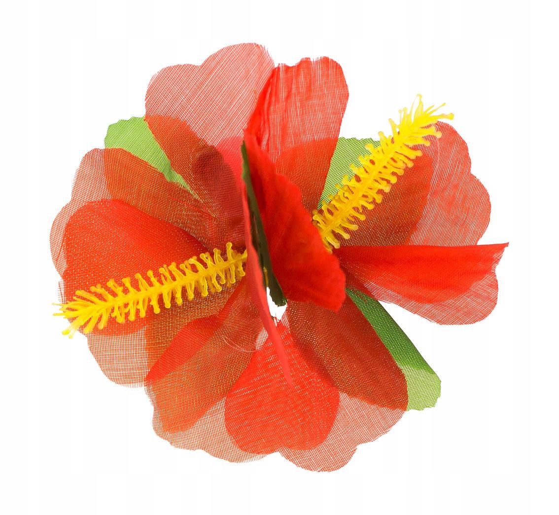 

Spinka hawajska, duża, czerwona