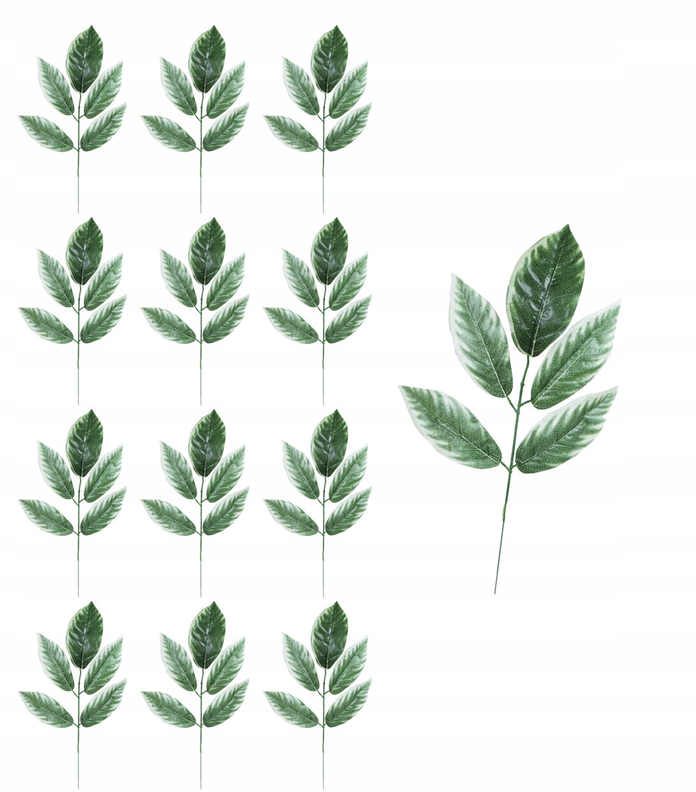 

Liść zielono kremowy gałązka 12 sztuk do wiązanek