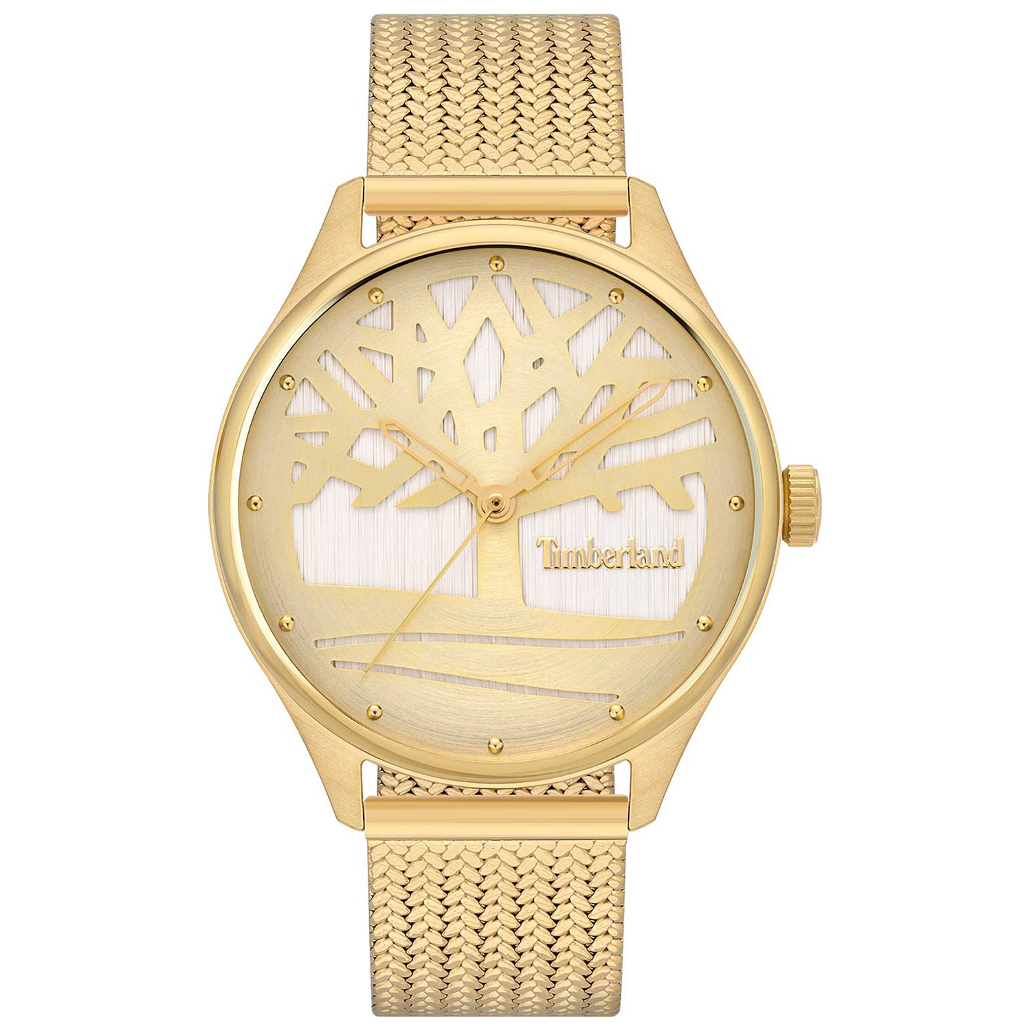 Dámské hodinky Timberland TBL.TDWLG2200302 zlaté