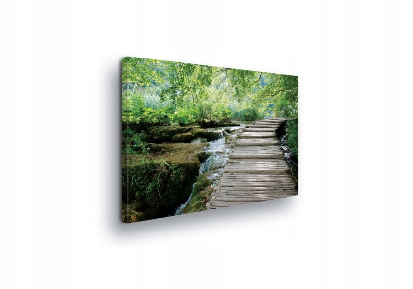 Obraz 100x75 Příroda les vodopád potok stezka zeleň klid harmonie