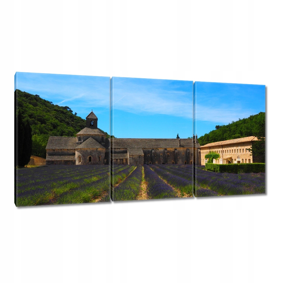 

Obrazy 120x60 Pole lawendy