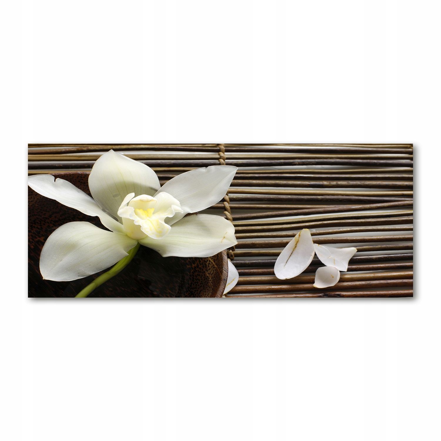 

Foto obraz duży akryl nowoczesny Orchidea 125x50cm