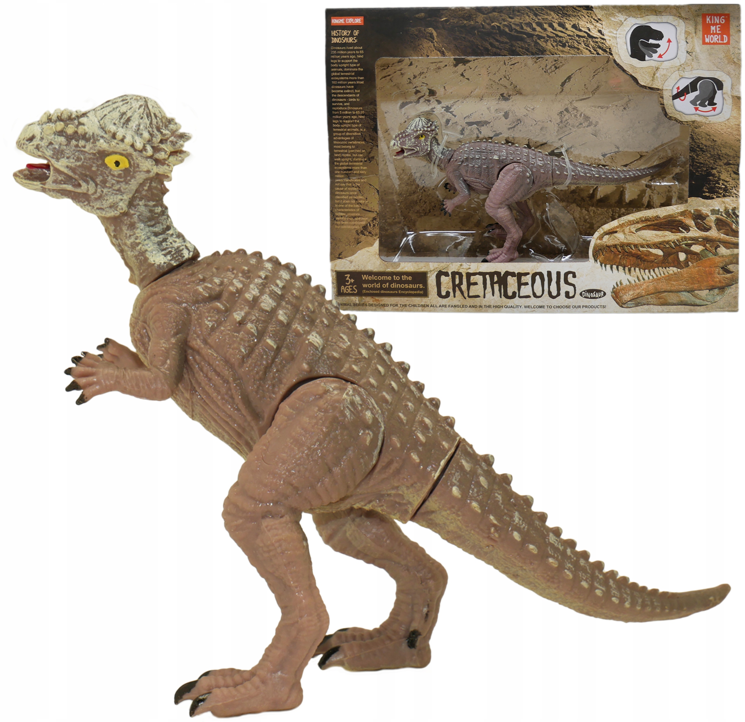 

Duży Dinozaur dinozaury Ruchomy Pachycefalozaur