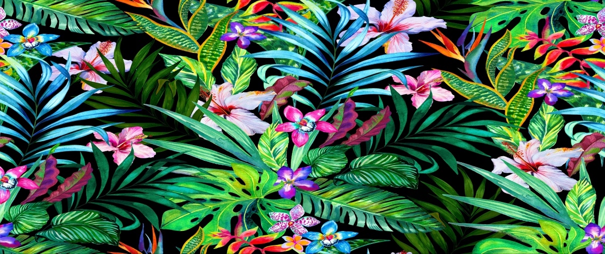 

Fototapeta Flizelina Tropikalne kwiaty 250x104