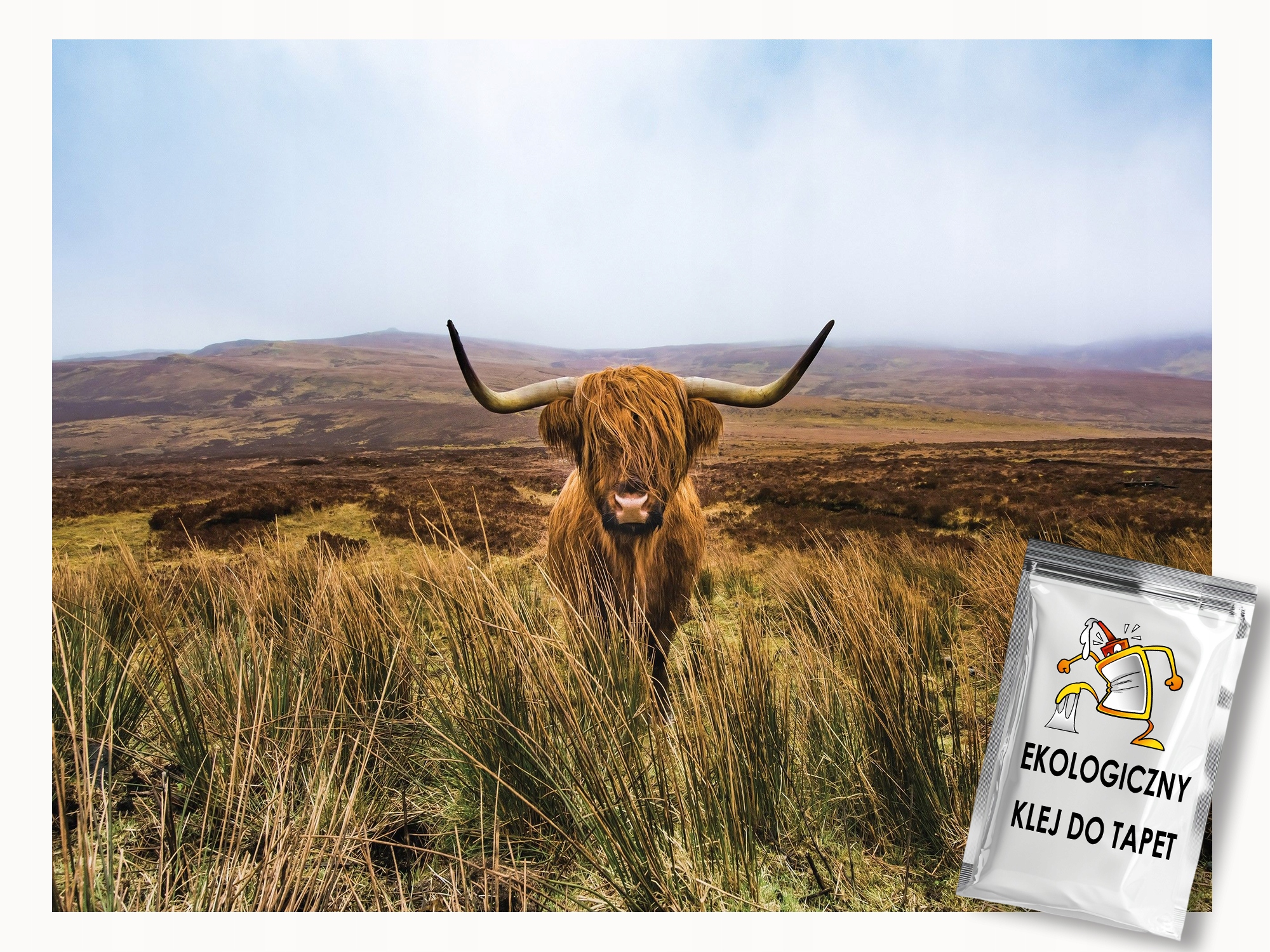 Fototapeta Flizelina Příroda Hory Skotská Kráva Highland 250x175 lepidlo
