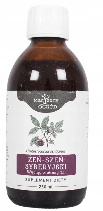 

Żeń-szeń syberyjski wyciąg ziolowy250ml Nanga