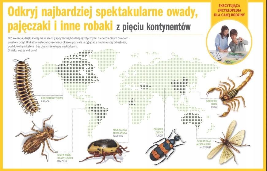 PRAWDZIWE OWADY, PAJĘCZAKI nr 32 PAJĄK KOLCZASTY ISSN 9788410570382