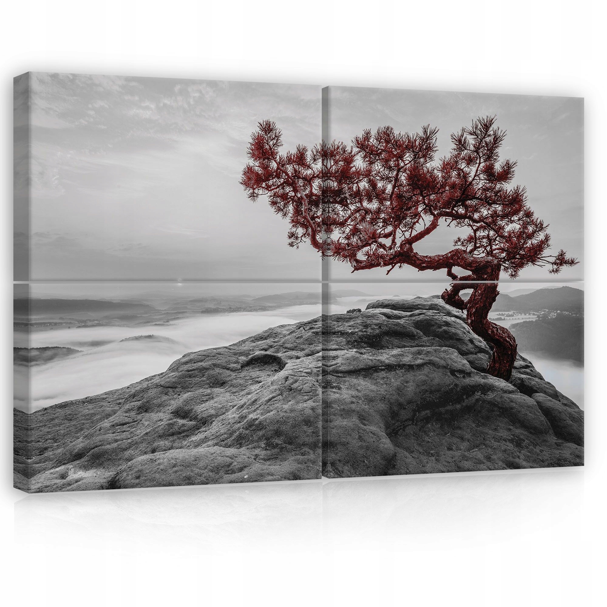 Obraz 120x80 skala strom hmla hora sila osamelosť príroda kontrast červená