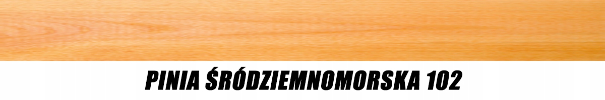 KOOPMANS 102 HOUTOLIE UV PINIA ŚRÓDZIEMNOMOR. 2,5L EAN (GTIN) 4141241241299