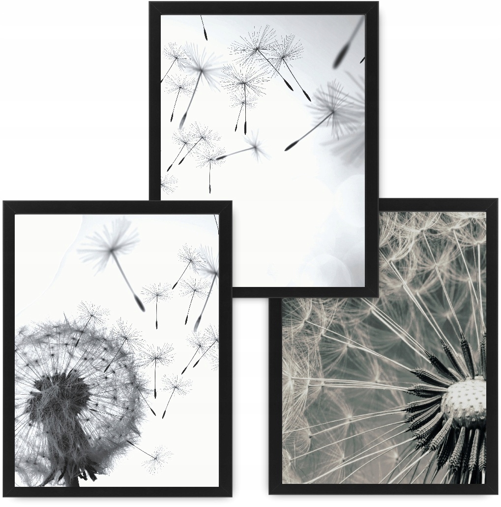 Dmuchawce 3 obrazy 33x43 plakáty, rámy ikea #83