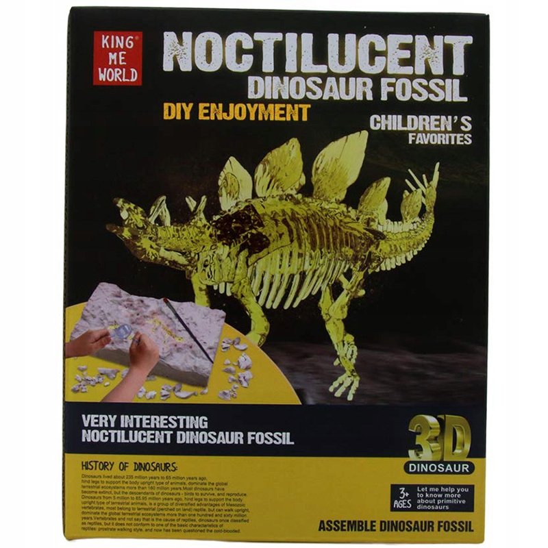 

Wykopaliska Skamielina Dinozaur Szkielet Stegozaur