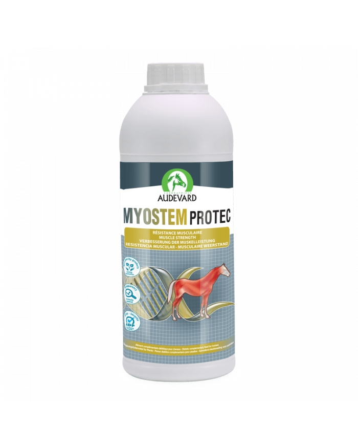 Audevard Myostem Protec – wsparcie regeneracji mięśni dla koni horse 900ml
