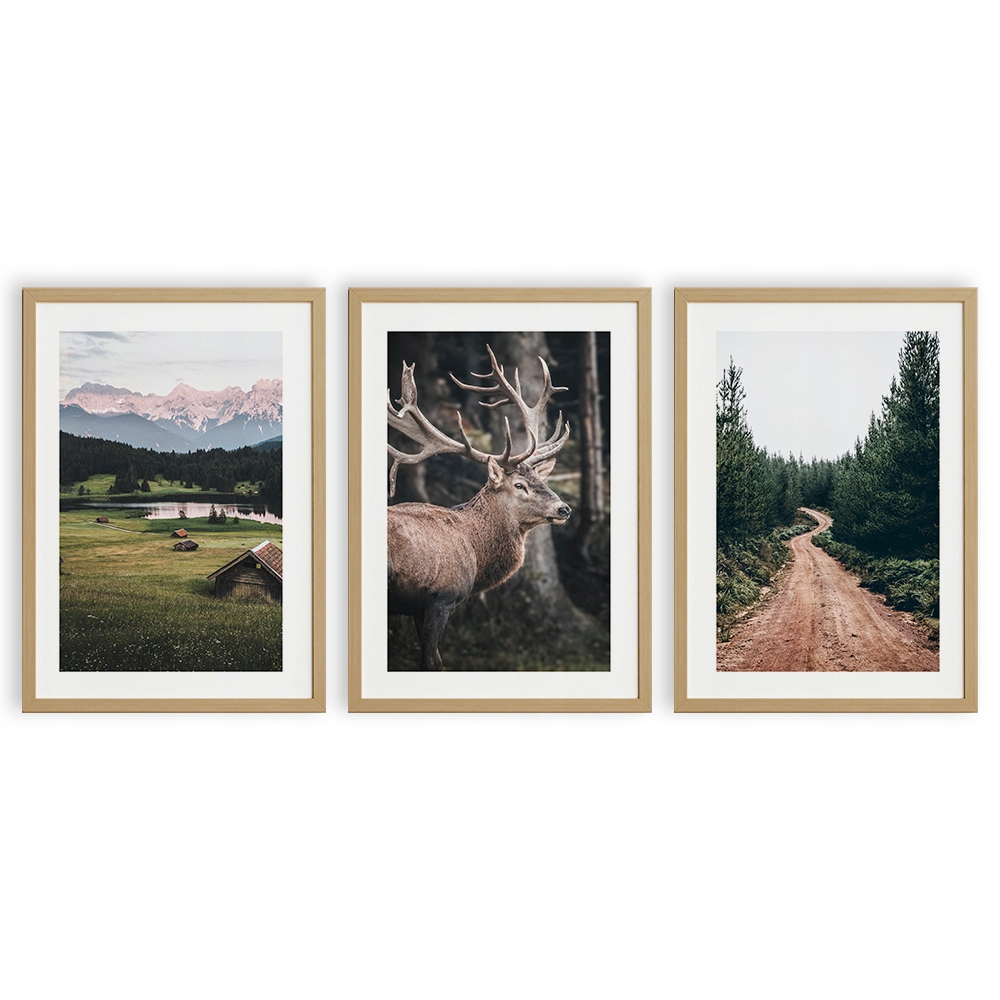 

Zestaw Plakatów A4 Góry Jeleń Natura Las Droga X3