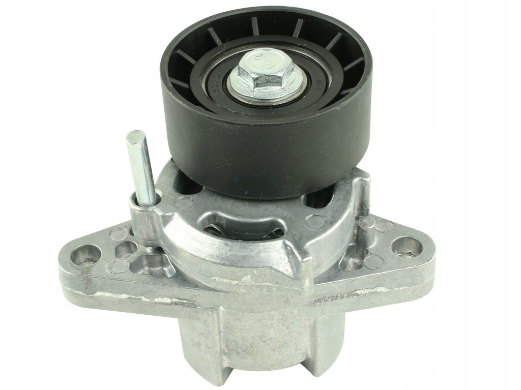 FT44625 - РОЛИК НАТЯЖИТЕЛЯ РЕМНЯ MICRO-V RENAULT KANGOO 98-