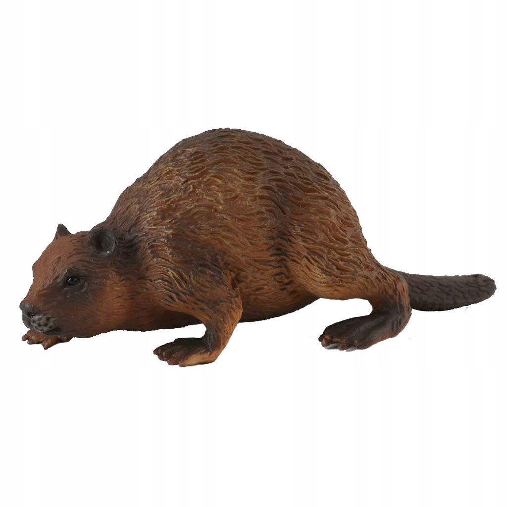 

Bóbr Beaver CollectA 88382
