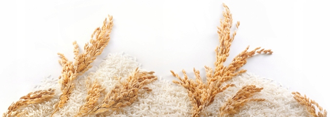 Levně 2X Rýže Gallo Arborio 1 kg