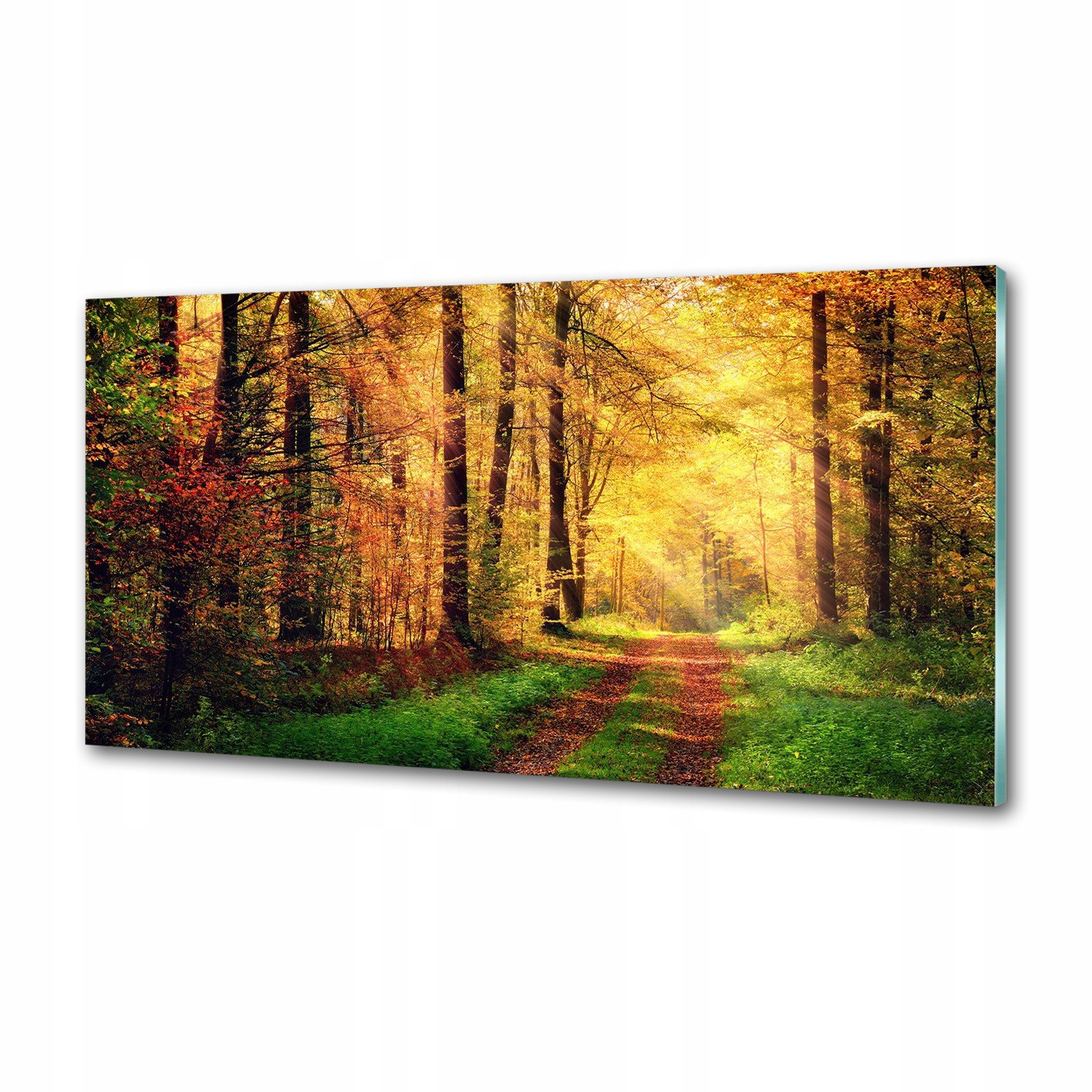 Panel dekor sklo Les na jeseň 120x60 cm Lepidlo