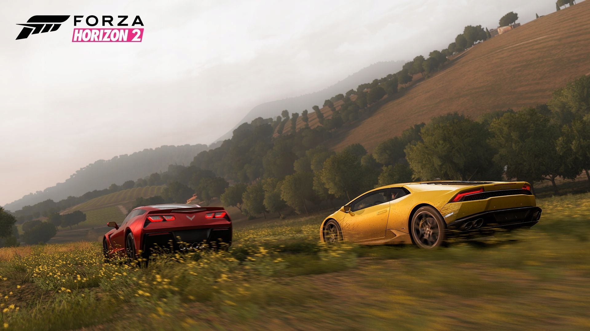 XBOX 360 FORZA HORIZON 2 PL / WYŚCIGOWA Producent Xbox Game Studios / Microsoft Studios